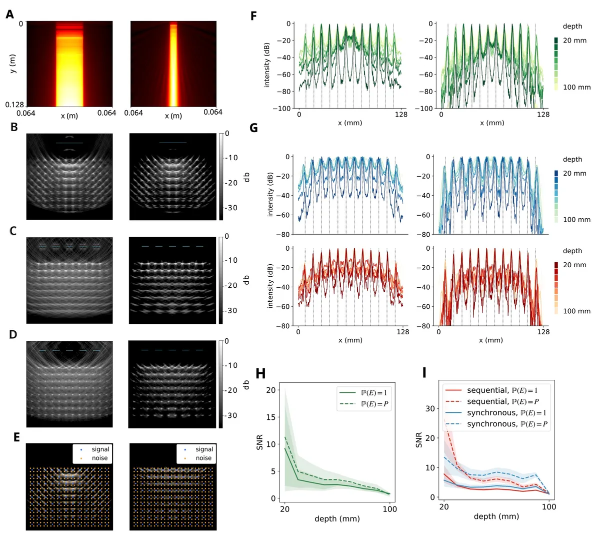 Coherent compounding reconstruction benefits from excitation compensation broadly. <b>(A)</b> Maximum pressure amplitude computed analytically for a single θ = 0 pulse from the 40 mm transducer and the 10 mm transducer. This was used for excitation compensation in the following single- and multi-view experiments. <b>(B–D)</b> Single transducer <b>(B)</b>, multi-view setup with sequential compounding <b>(C)</b>, and multi-view setup with synchronous compounding <b>(D)</b> images, without (left) and with (right) excitation compensation applied during reconstruction. <b>(E)</b> Points denoting scatterers and background, used to measure SNR. <b>(F, G)</b> Lateral PSFs as a function of imaging depth for single-view <b>(F)</b>, sequential multi-view <b>(G, upper)</b>, and synchronous multi-view <b>(G, lower)</b> imaging, without (left) and with (right) excitation compensation. <b>(H)</b> SNR as a function of depth for a single transducer. Shaded regions denote one standard deviation from the mean. <b>(I)</b> SNR as a function of depth for a multi-view setup.